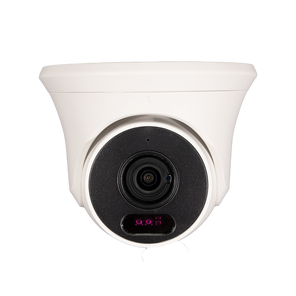 Видеокамера IP TSi-Beco25FP